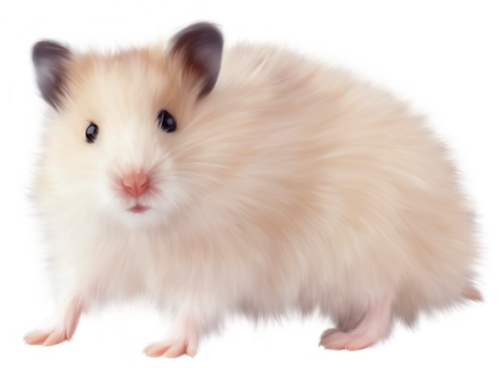 Transparent Hamster Cartoon Png / Bathroom Cartoon png download - 1042*