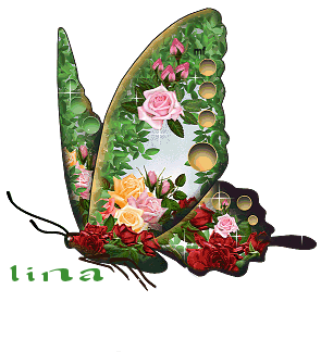 Image IPB